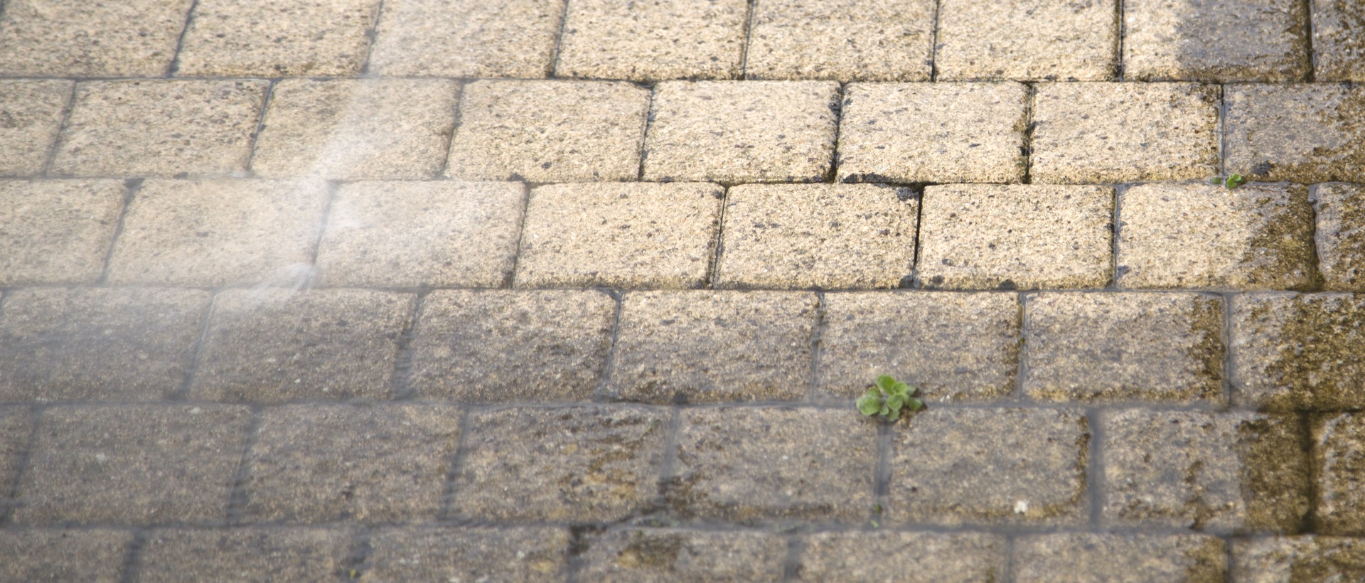 flagging and patios SE18